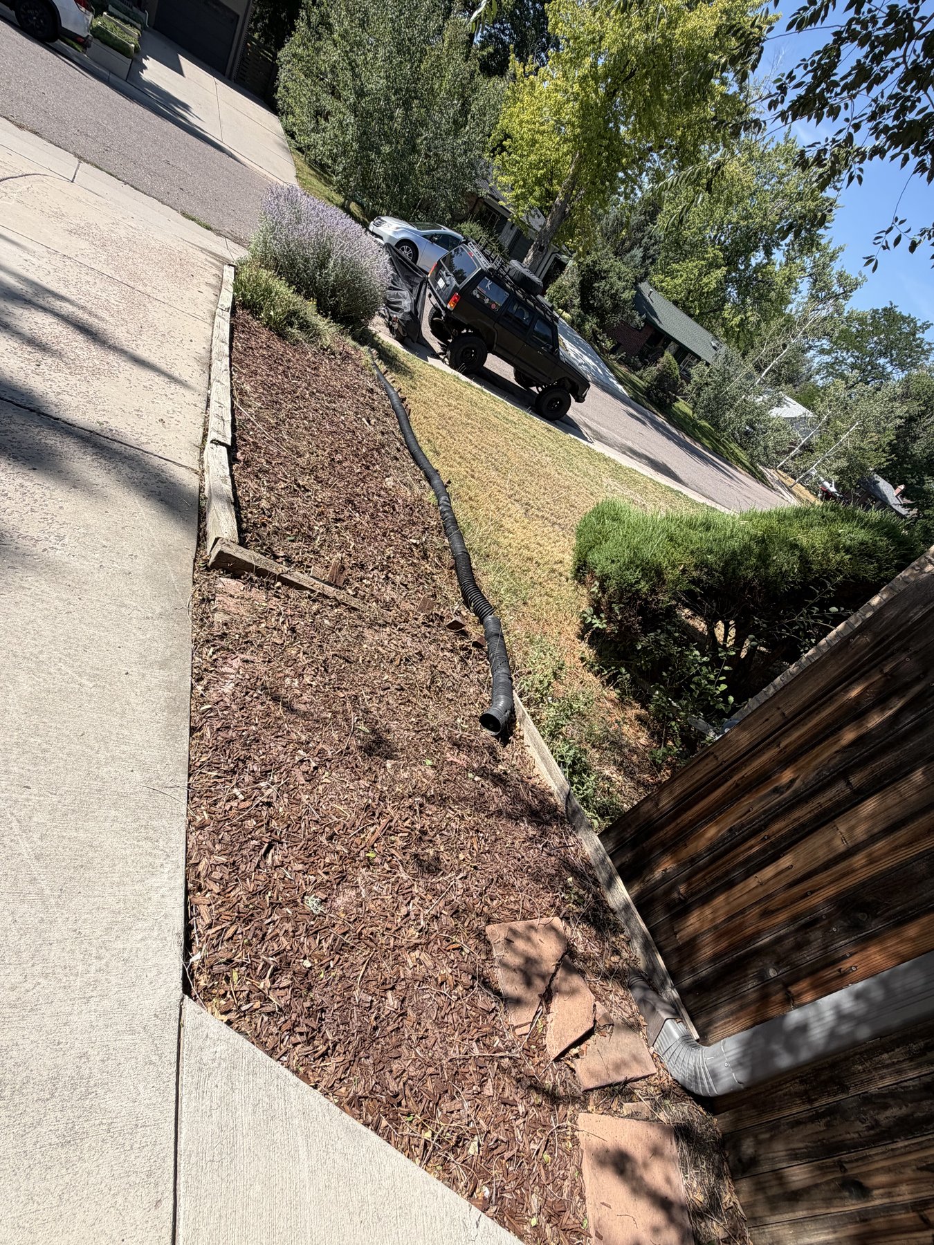 After: cleaned landscape bed with fresh mulch